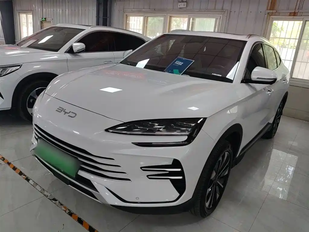 Byd PLUS New Energy 2025