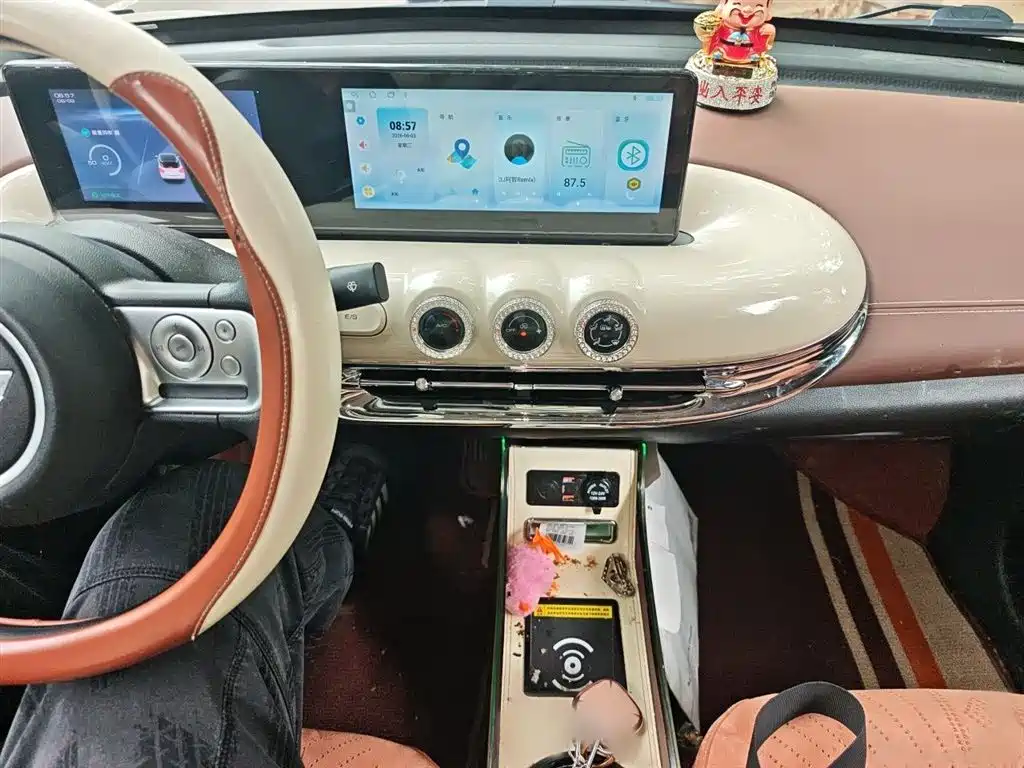 Wuling Binguo 2024 333km Enjoy