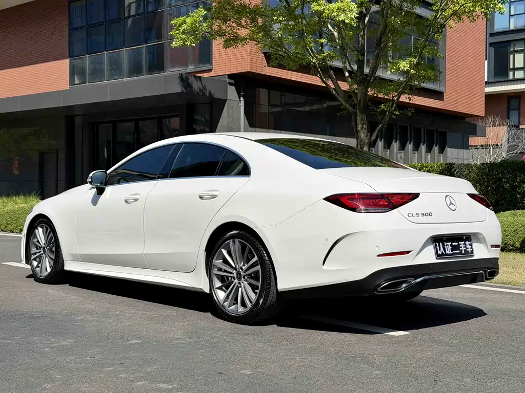 Mercedes-Benz CLS 2020 CLS 300