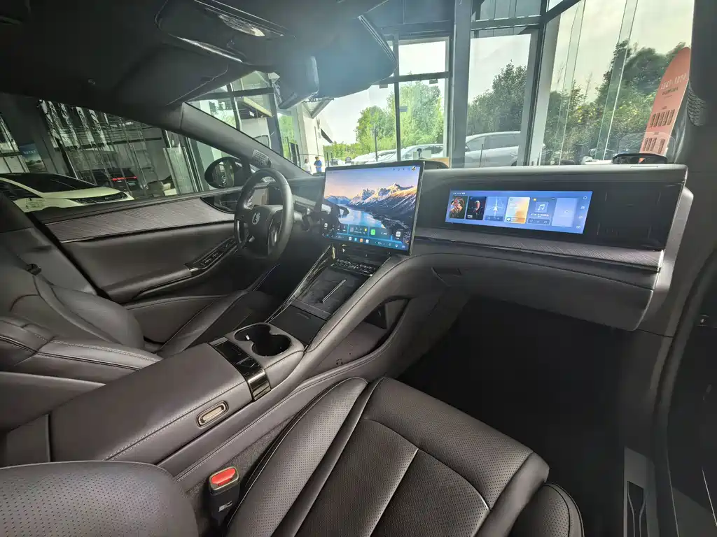 Denza Denza Z9 — миниатюра 18