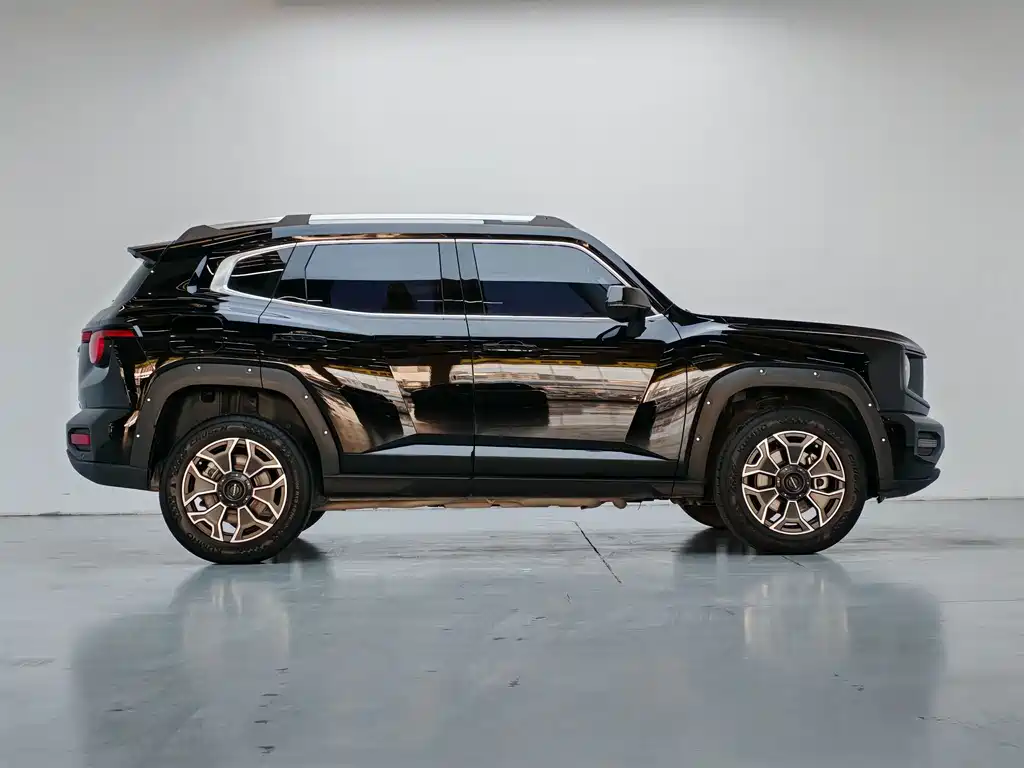 Haval Big Dog PLUS New Energy — миниатюра 14