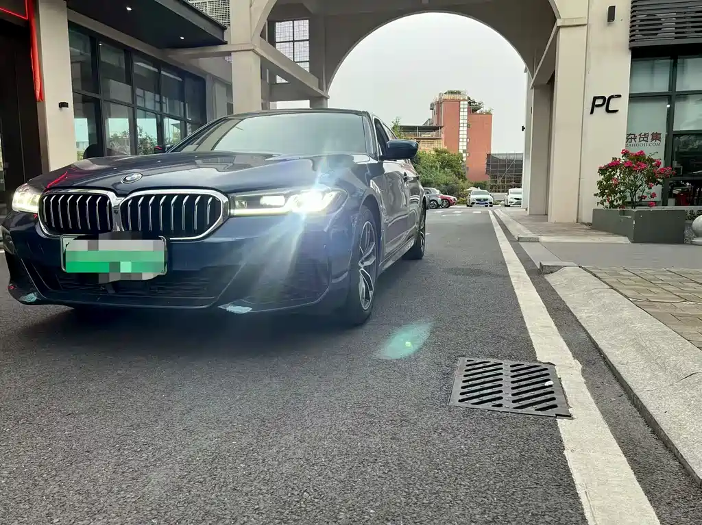 BMW 5 Series New Energy 2021
