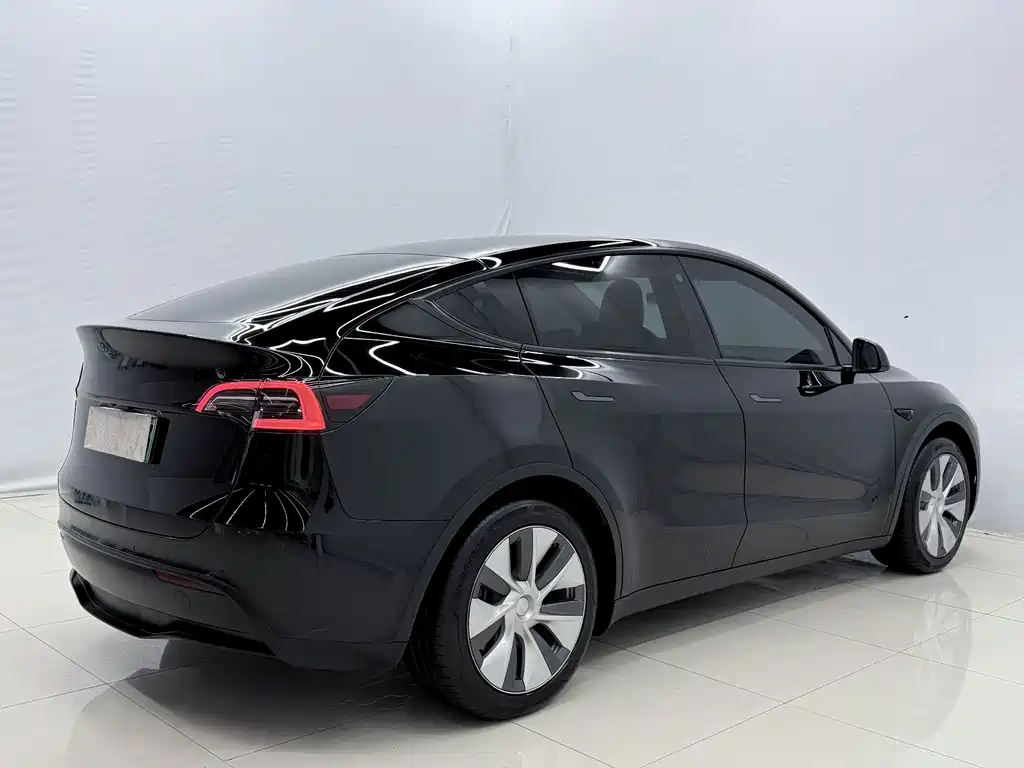 Tesla Model Y — миниатюра 12