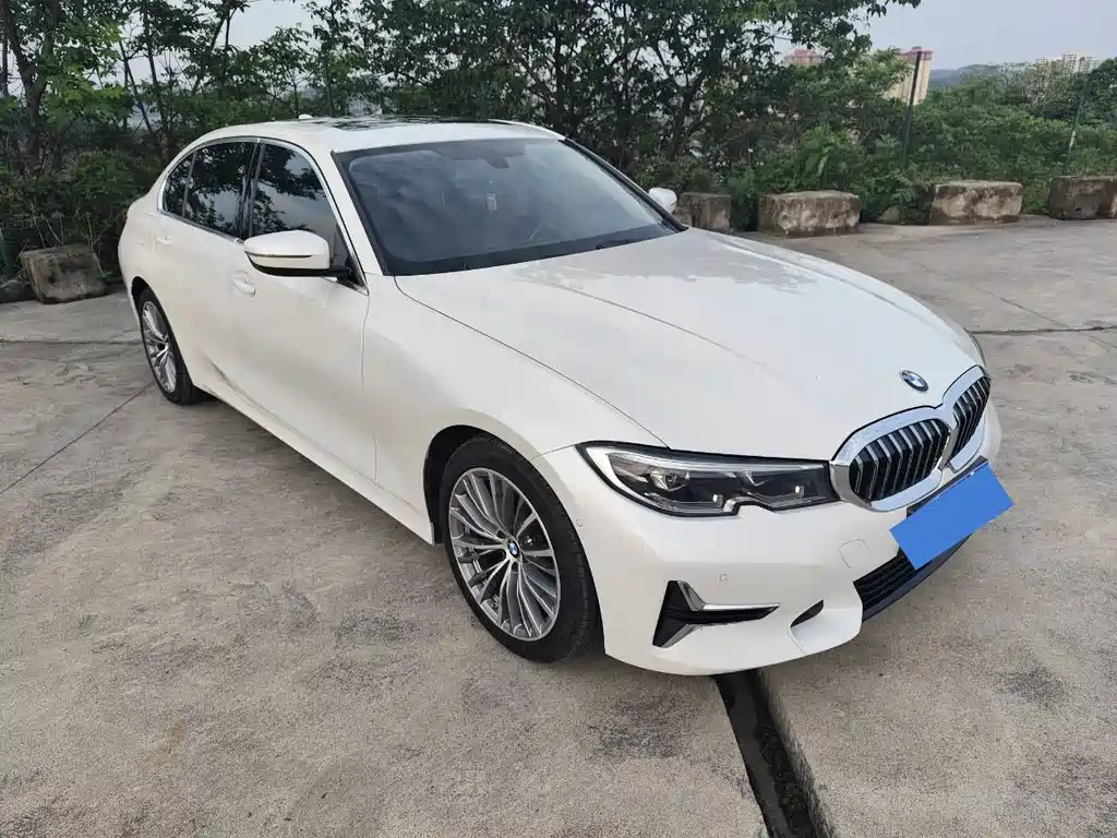 BMW 3 Series 3 2020 325Li