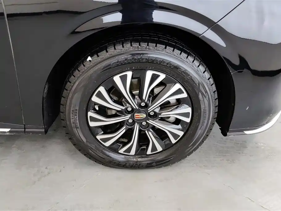 Hongqi HQ9 PHEV 2024 2.0T