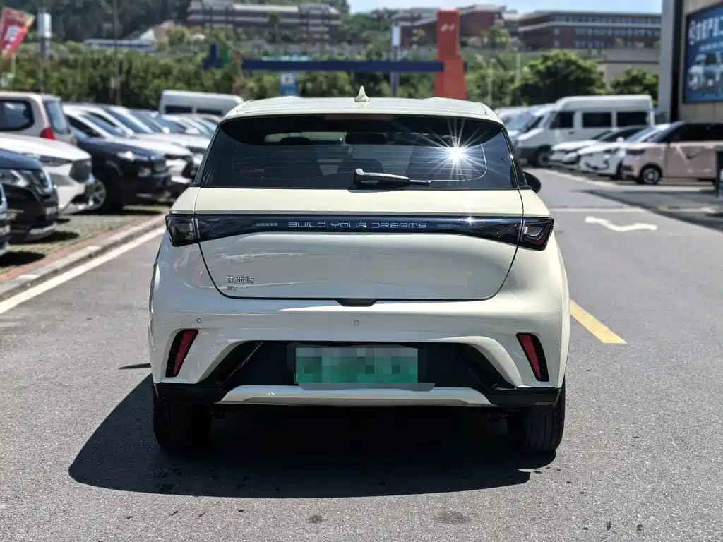 BYD Dolphin 2024 420km Freedom