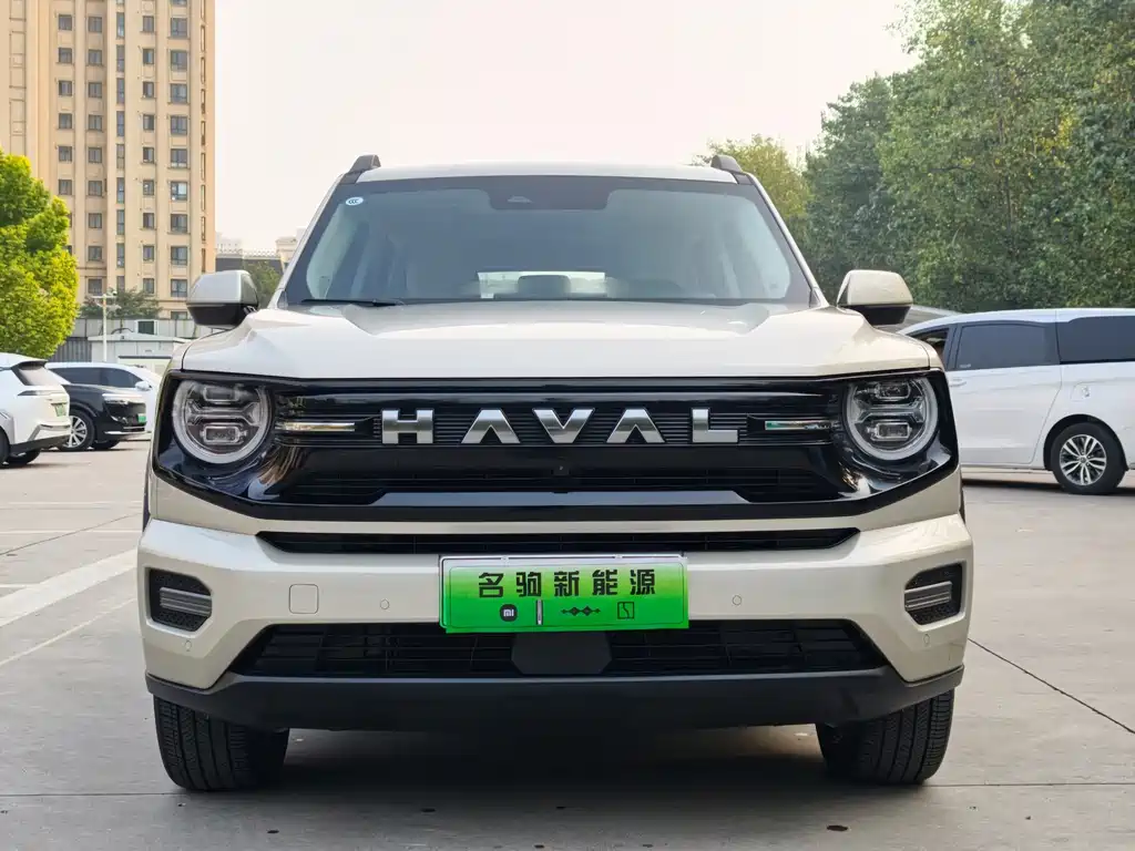 Haval Big Dog PLUS New Energy — миниатюра 8
