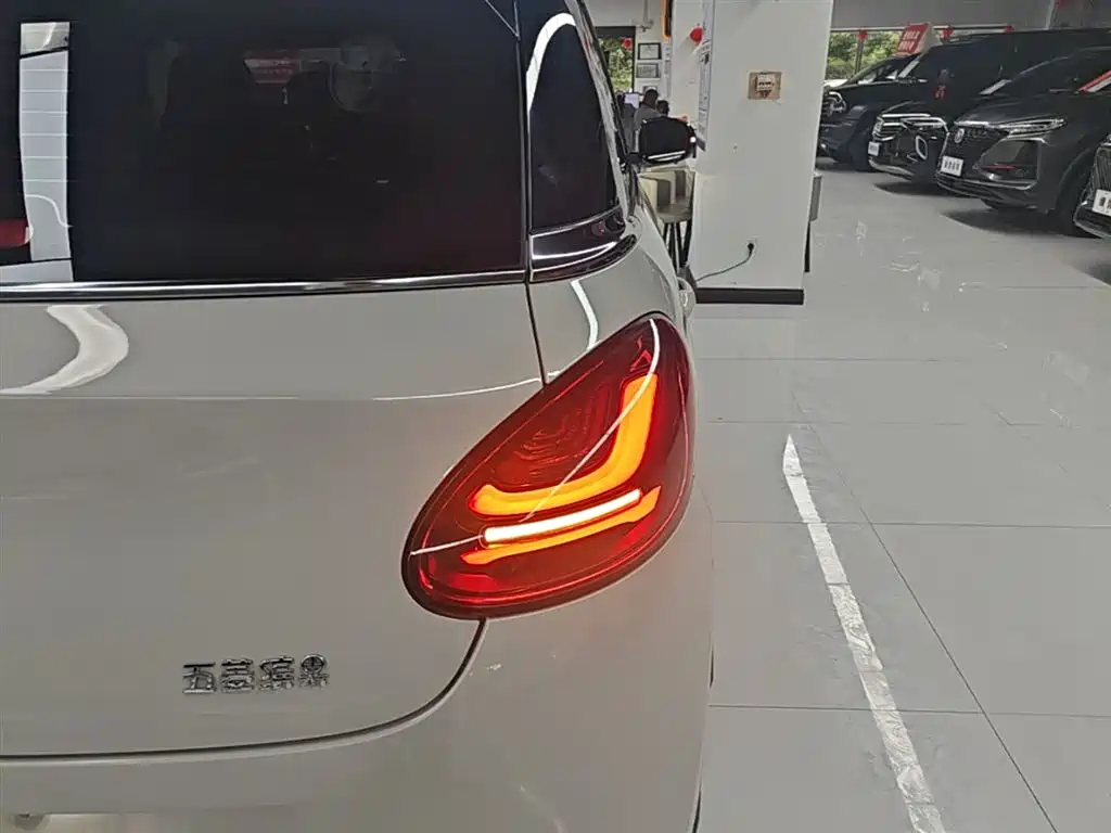 Wuling Binguo 2024 333km Enjoy