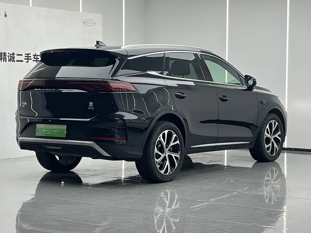 BYD Tang 2025 Smart Drive DM-i 115KM Flagship