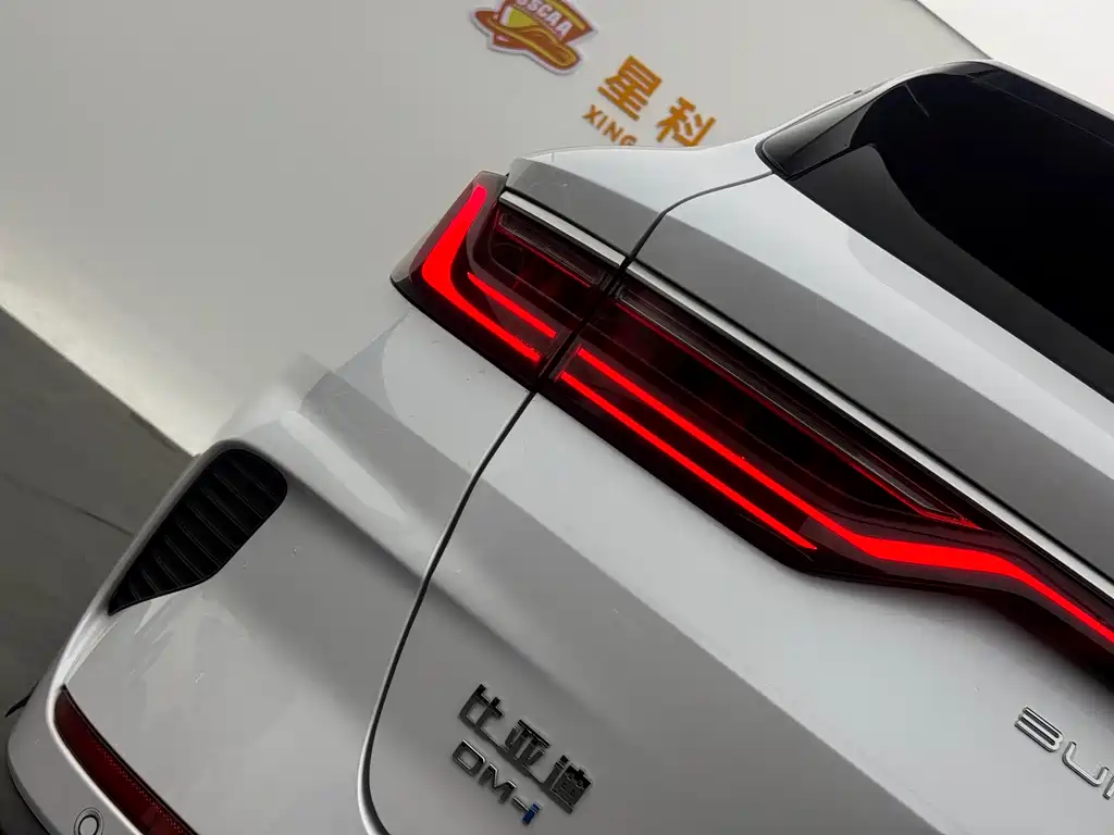 BYD SONGJIANG NEW ENERGY