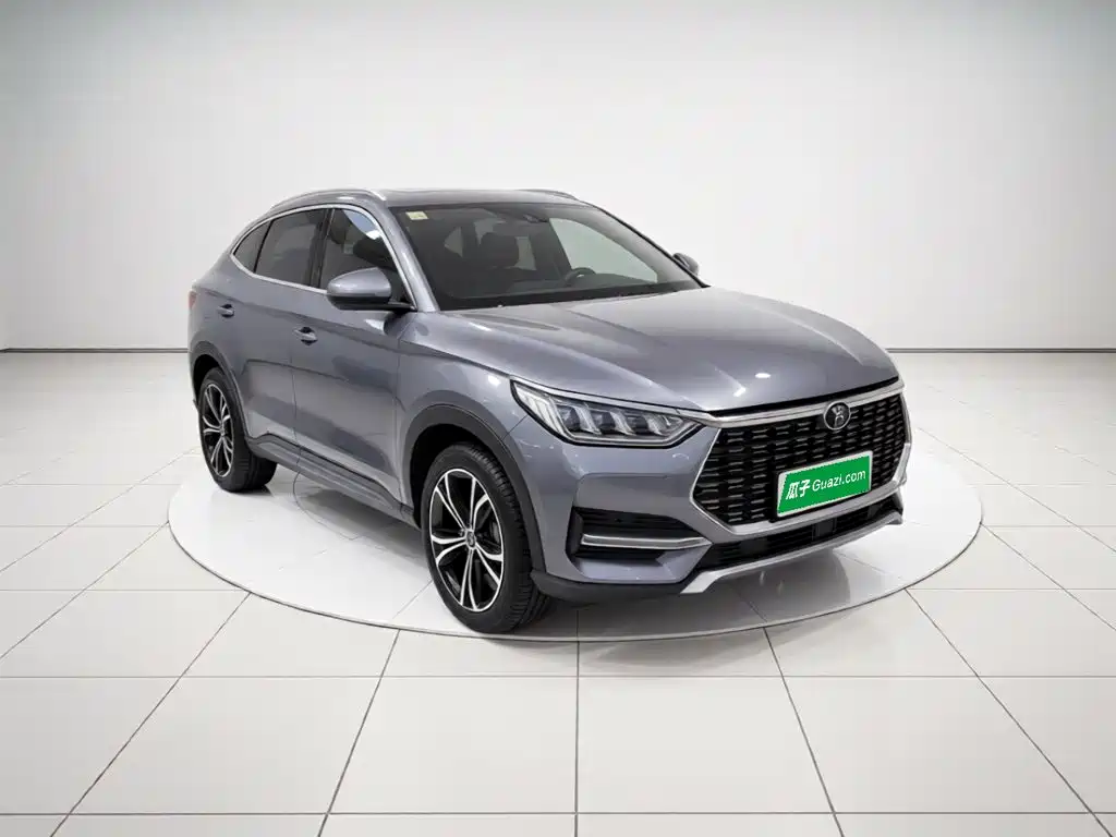 BYD Pro — миниатюра 3