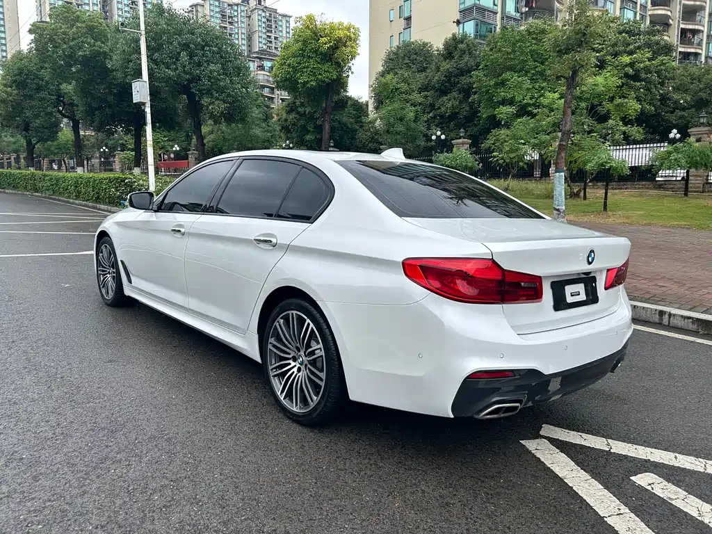 BMW 5 Series 5 2019 530Li xDrive M Sport