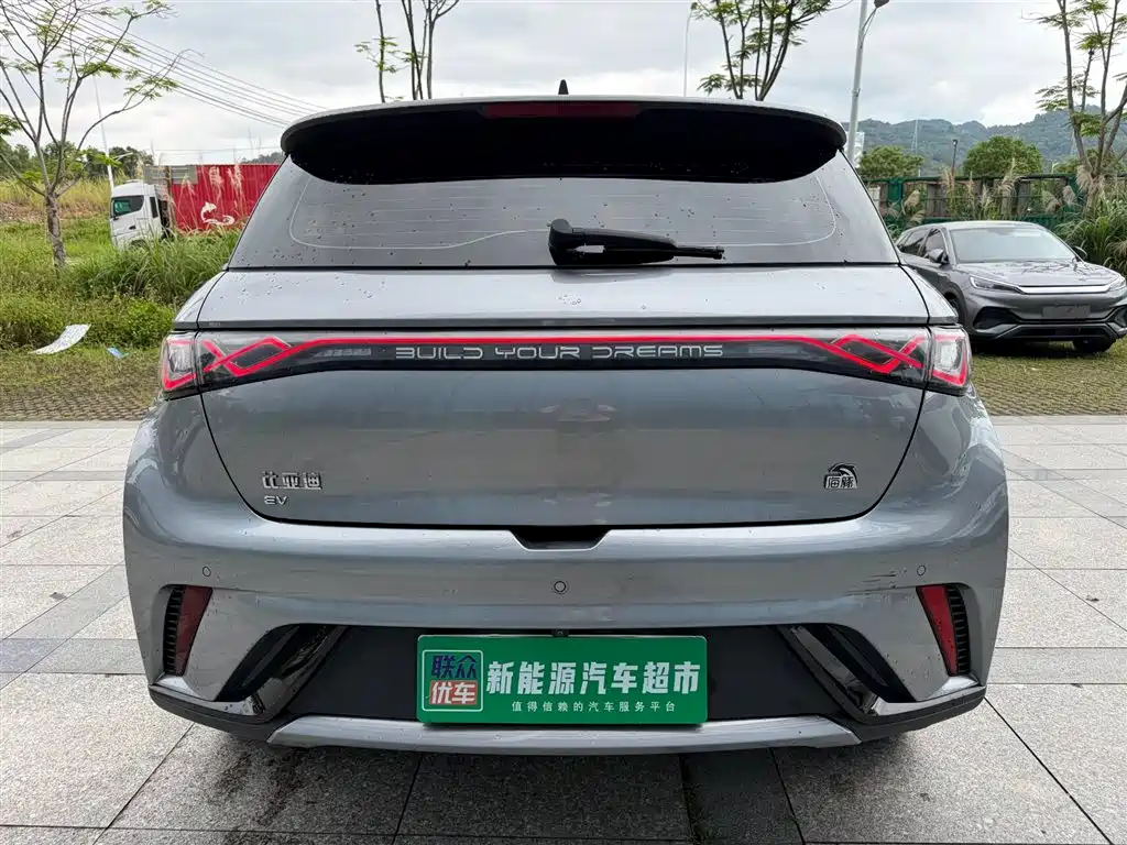 BYD Dolphin 2023 420km Fashion