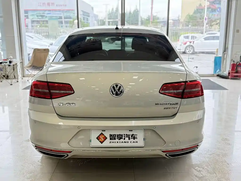 Volkswagen Magotan 2019 330TSI DSG Luxury VI