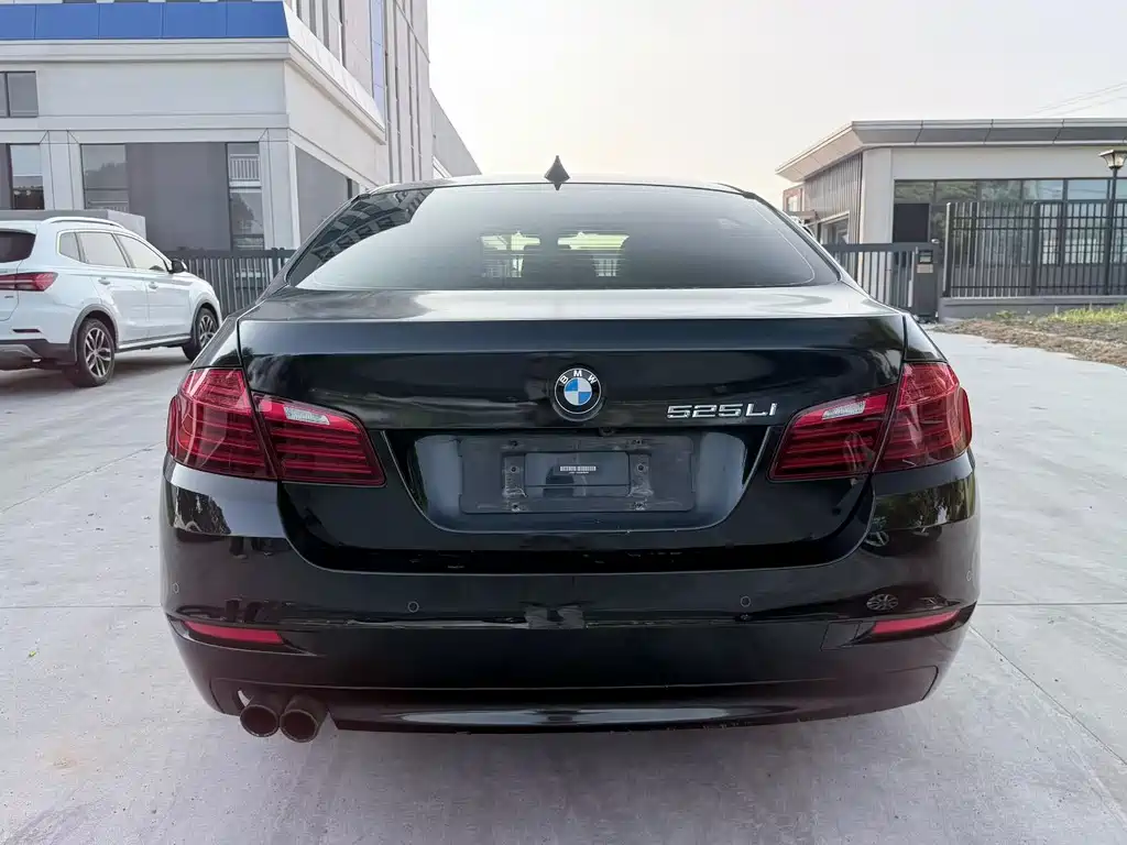 BMW 5 Series 5 2014 520Li Elegant