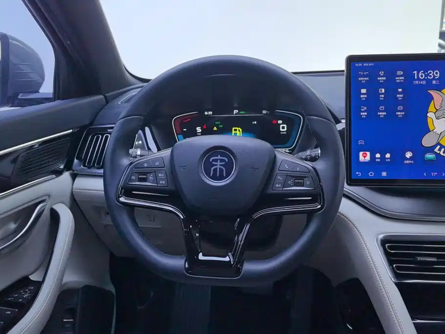 BYD PLUS New Energy — миниатюра 15