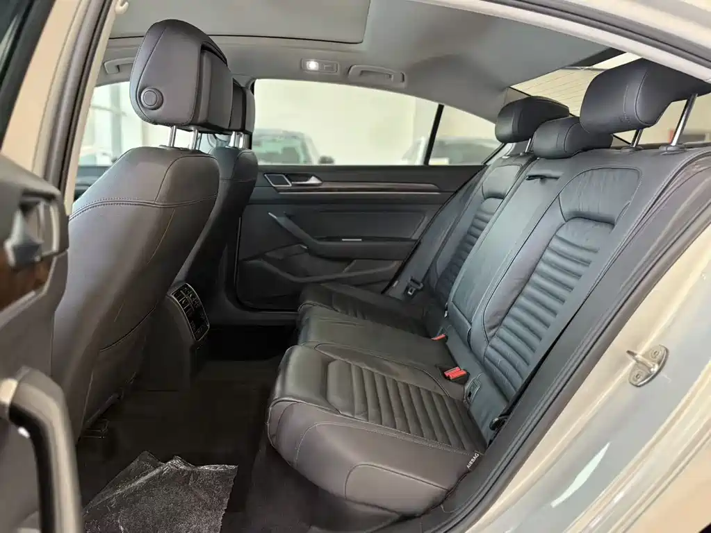 Volkswagen Magotan 2019 330TSI DSG Luxury VI