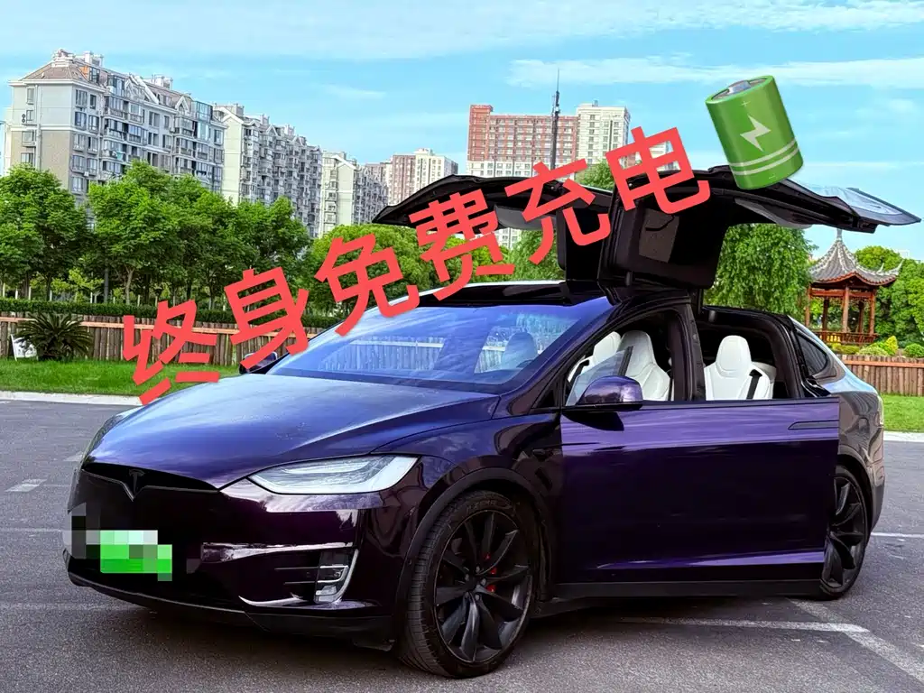 Tesla Model X 2019
