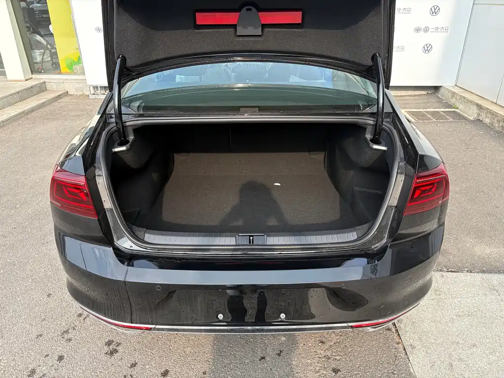 Volkswagen Magotan — миниатюра 10