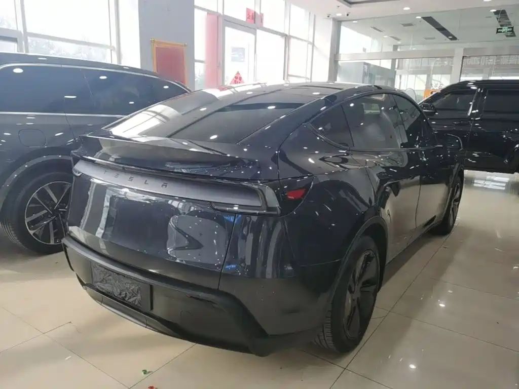 Tesla Model Y — миниатюра 7
