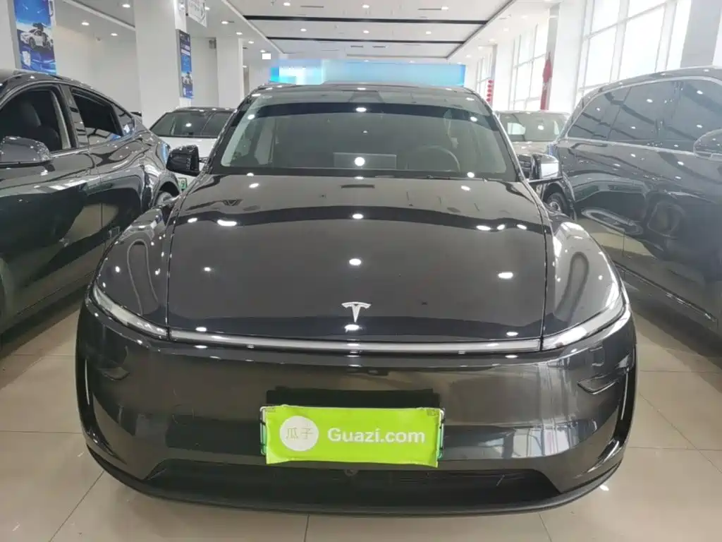 Tesla Model Y — миниатюра 3