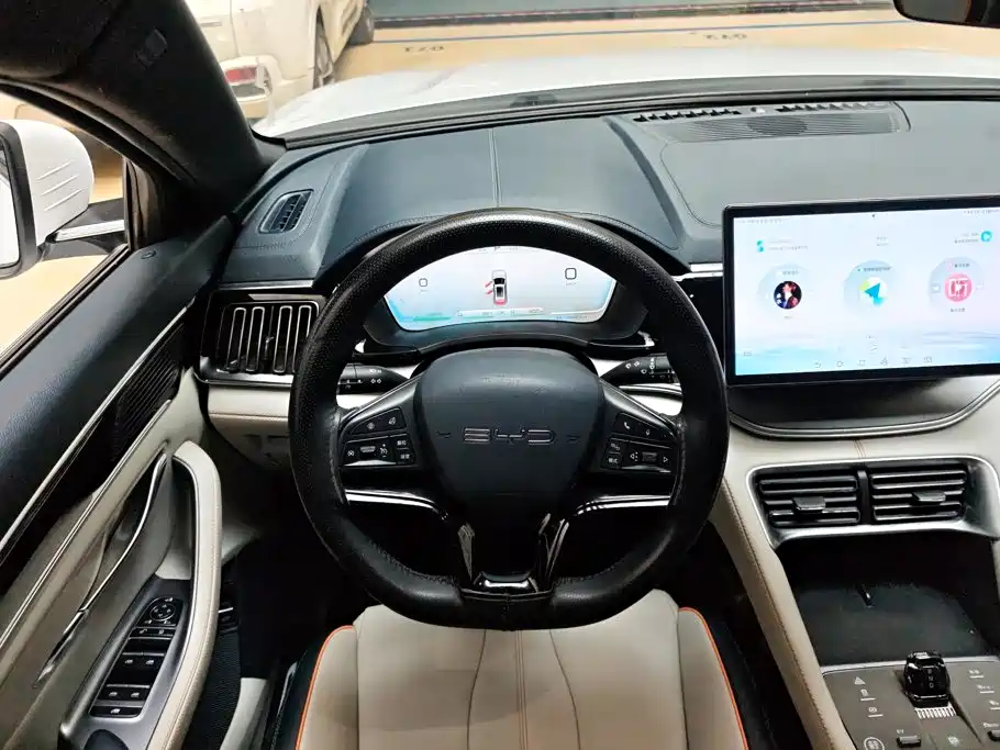 BYD PLUS New Energy — миниатюра 15