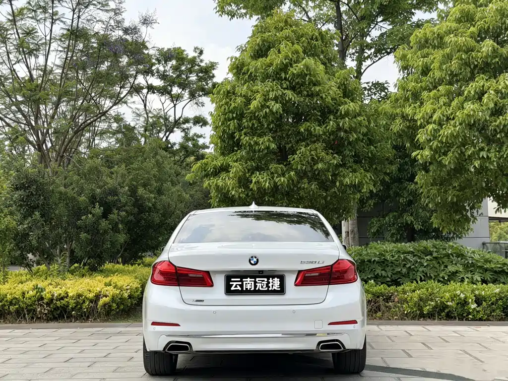 BMW 5 Series 5 2020 530Li xDrive Luxury