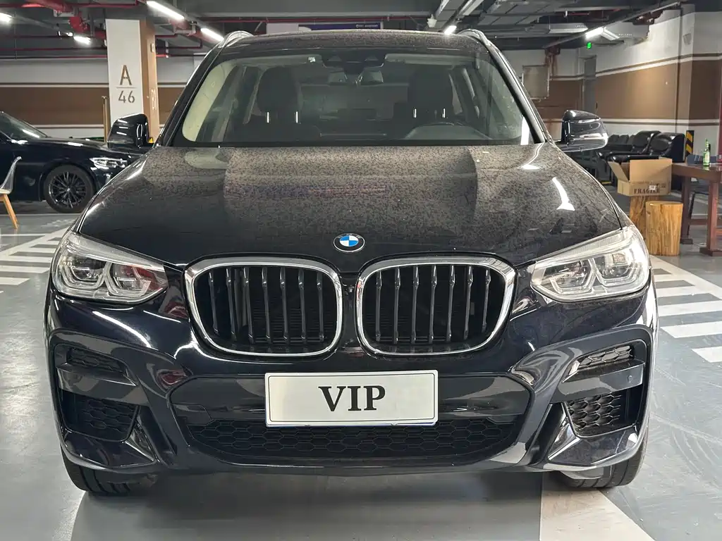 BMW X3 — миниатюра 2