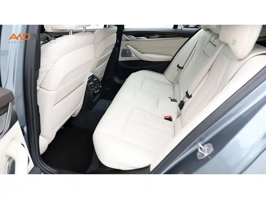 BMW 5 Series (Import) — миниатюра 7