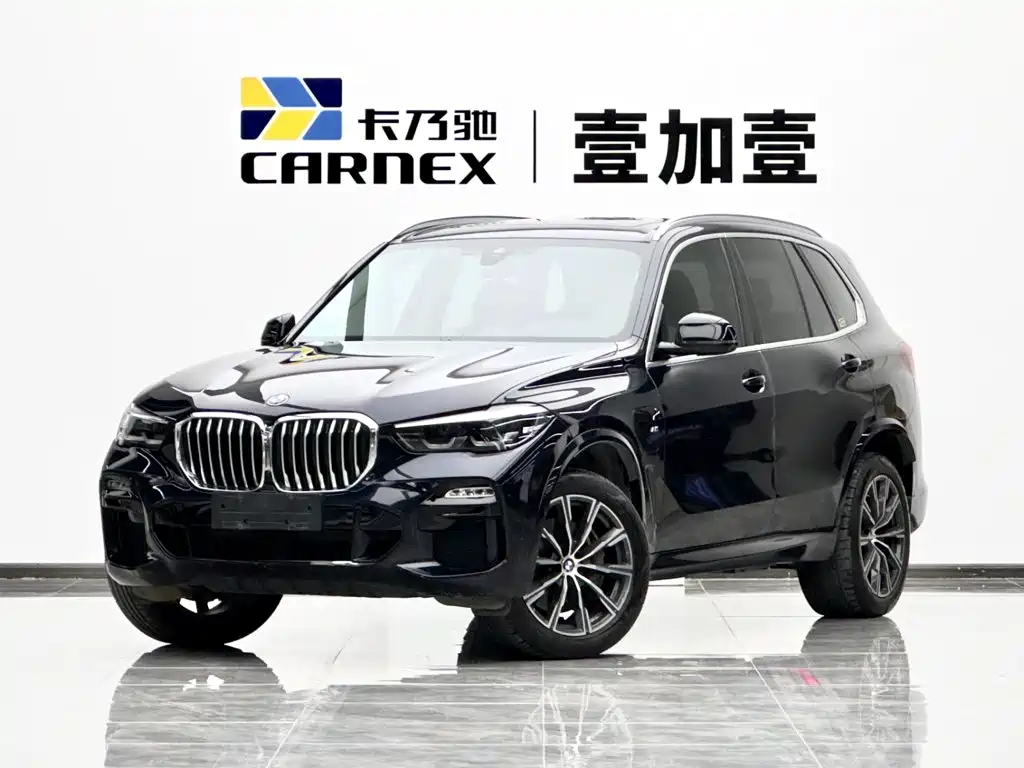 BMW X5 New Energy (Import)