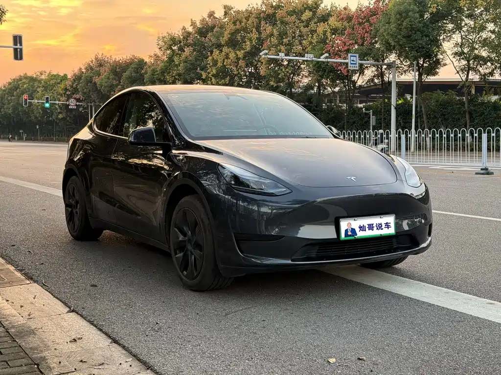 Tesla Model Y — миниатюра 3
