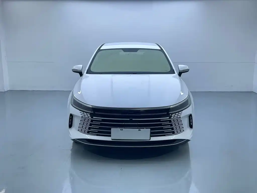 BYD Destroyer 05 — миниатюра 2
