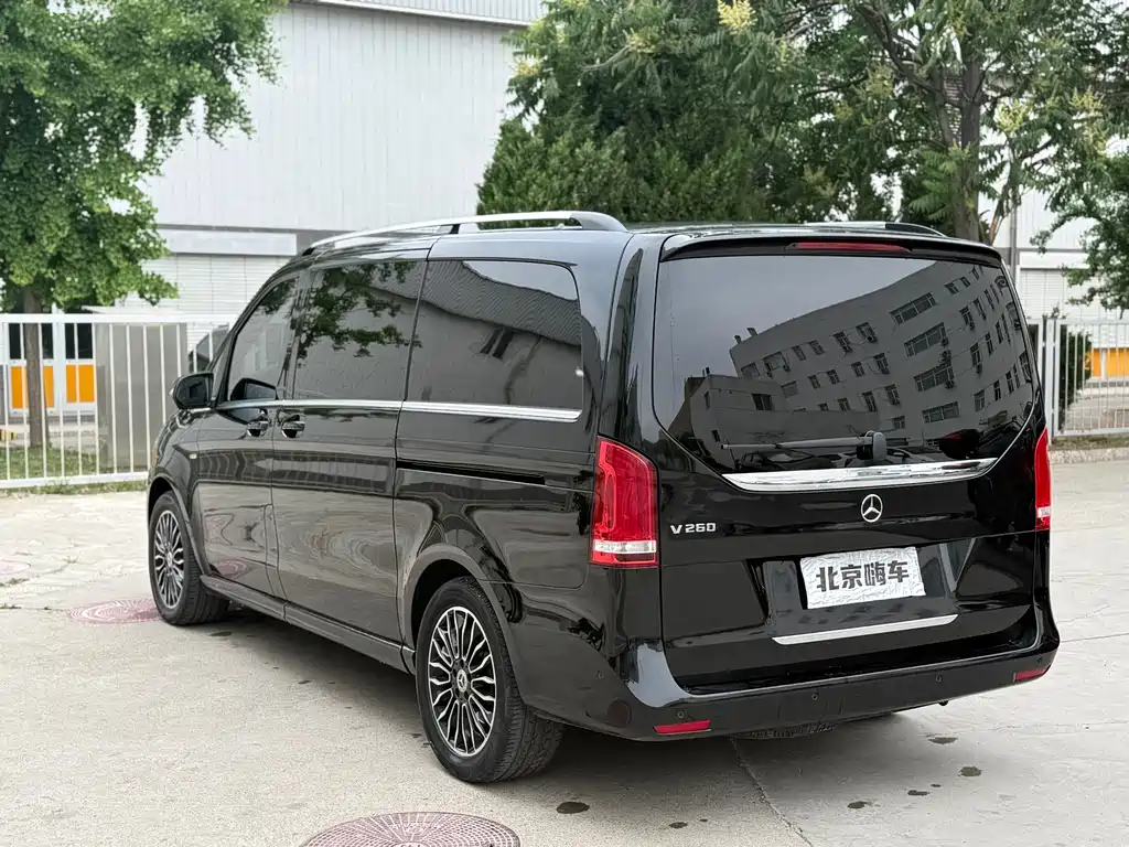 Mercedes-Benz V-Class V 2018 V 260 Luxury VI
