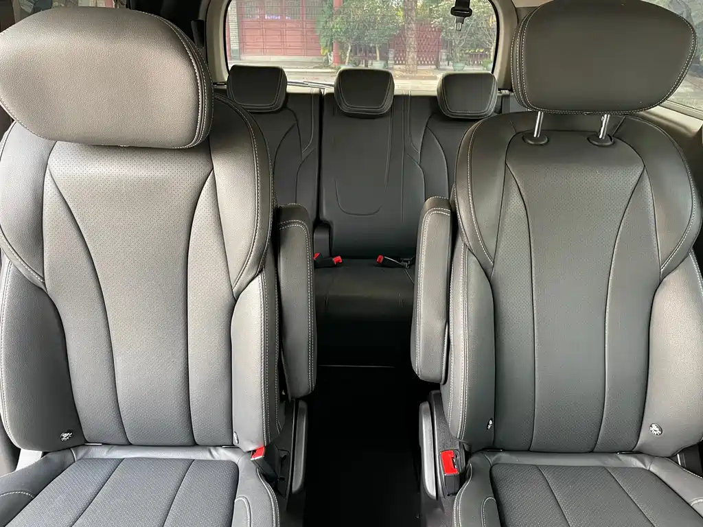 SAIC MAXUS CHASE G20