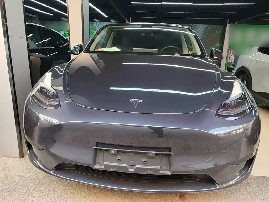 Tesla Model Y — миниатюра 3