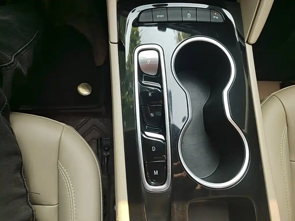 Buick Regal — миниатюра 14