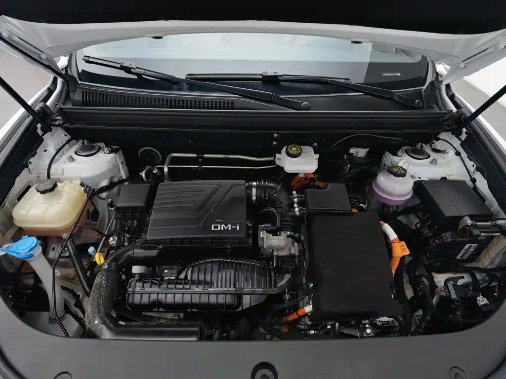 BYD Song Pro Pro 2024 DM-i 110KM