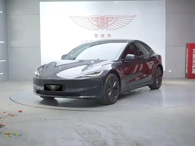 TESLA MODEL 3 2025