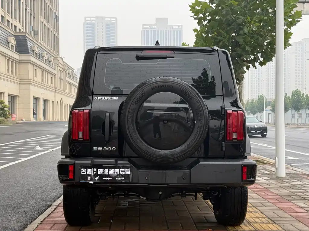 Tank Tank 300 — миниатюра 5
