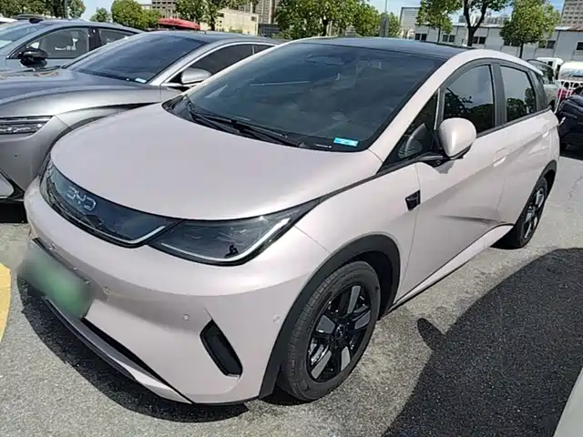 2025 BYD Dolphin