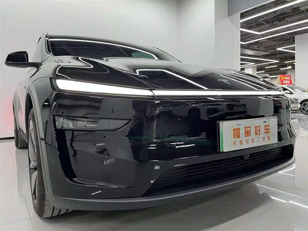 Tesla Model Y — миниатюра 6