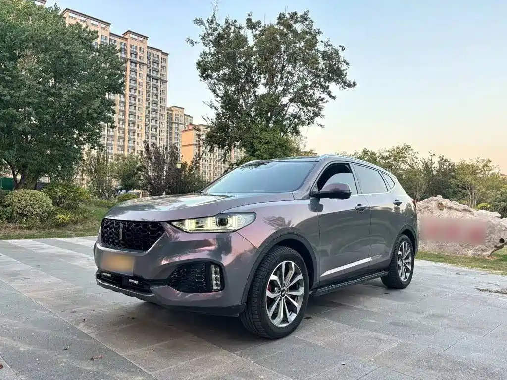 Wey Wey VV6