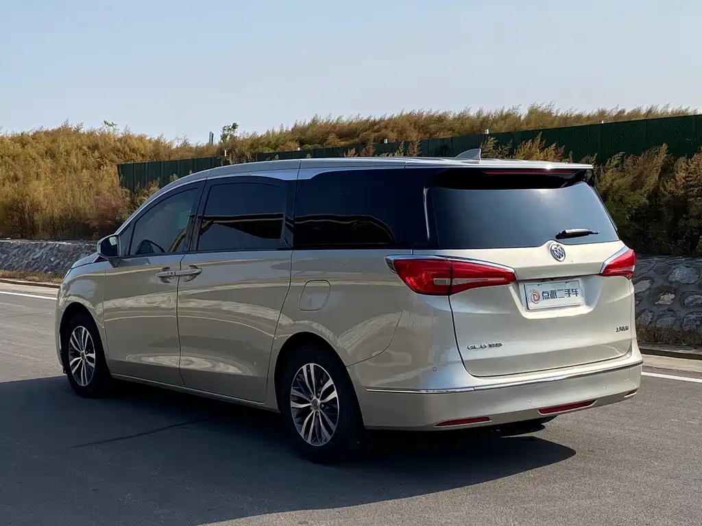 Buick GL8 — миниатюра 6