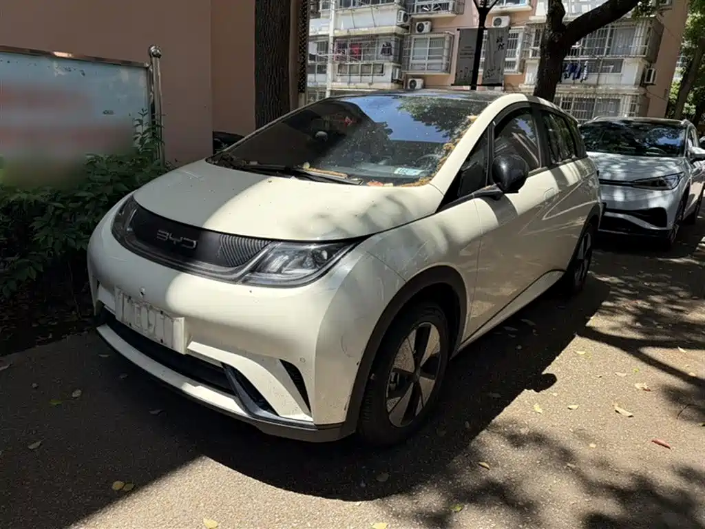 Byd Dolphin 2024