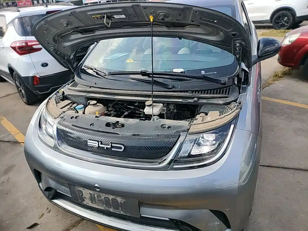BYD Dolphin — миниатюра 20