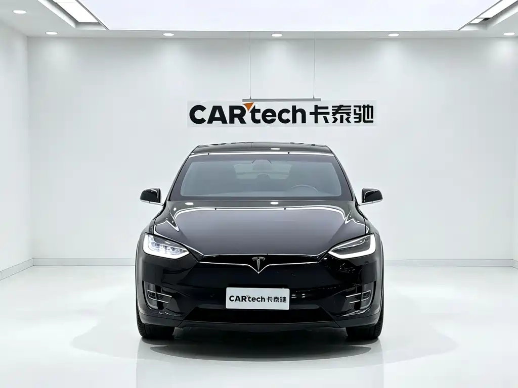 Tesla Model X — миниатюра 2