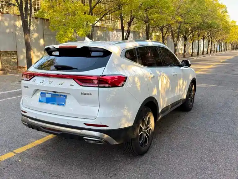 Haval H6 — миниатюра 7