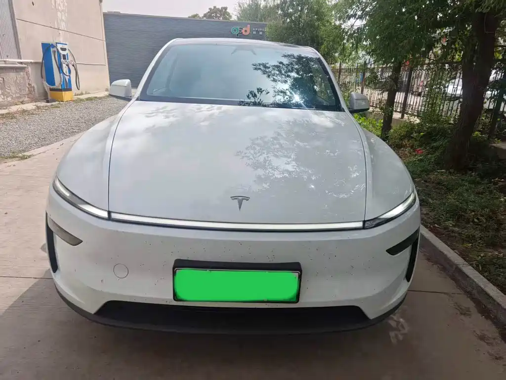 Tesla Model Y — миниатюра 2