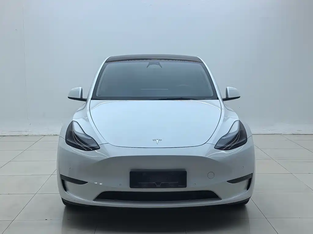 Tesla Model Y — миниатюра 2