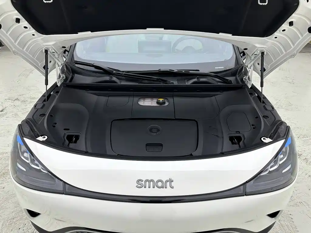 smart Smart #1 — миниатюра 24